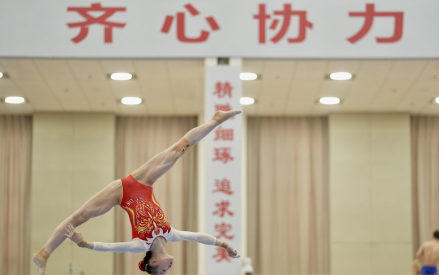 乐竞体育入口官网的社交互动与交流平台
